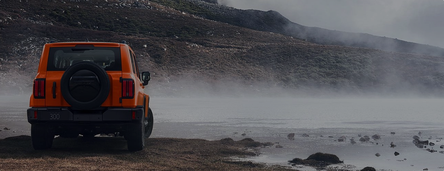 image section