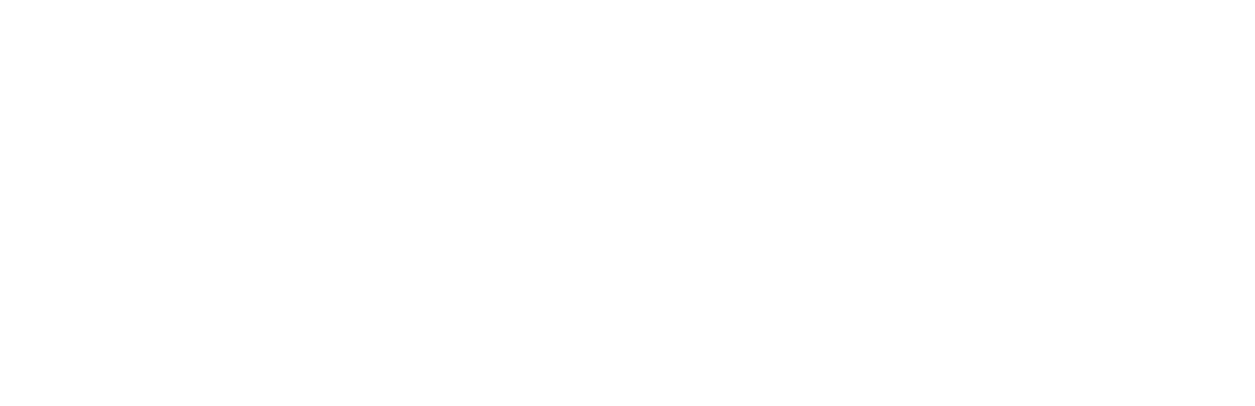 model logo
