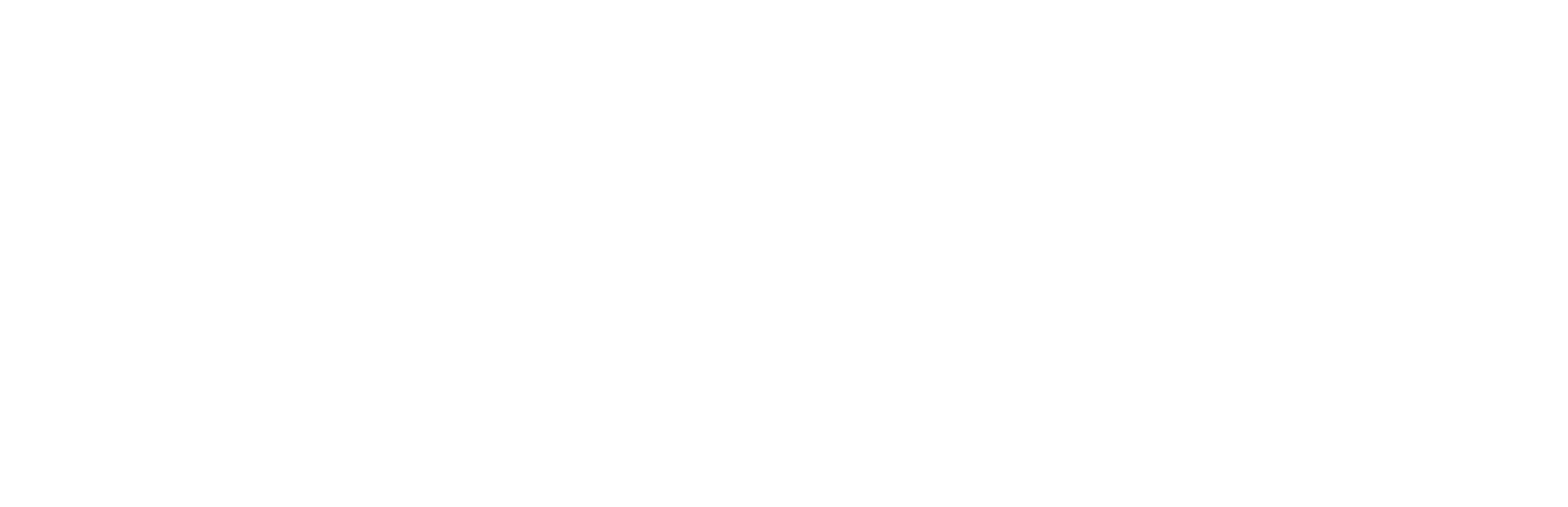 model logo