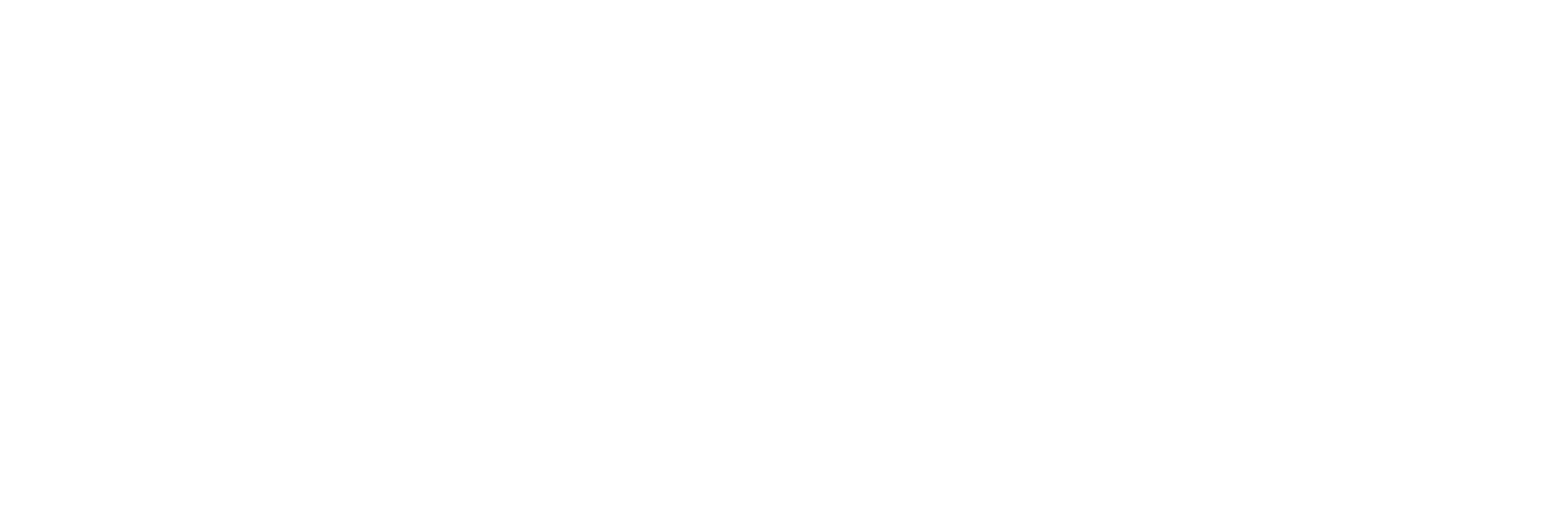 model logo